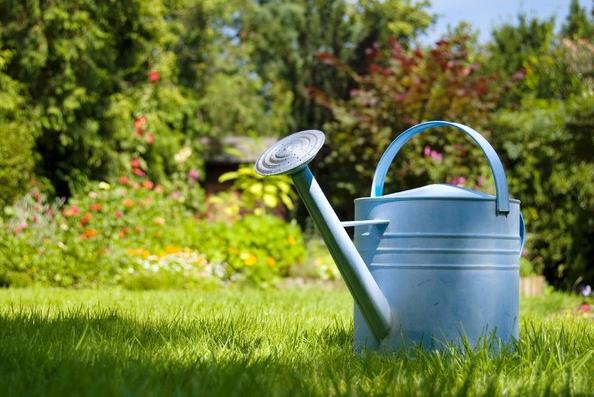 Le réservoir d'eau, outil innovateur pour l'arrosage de votre jardin -  Chaussabel Paysages